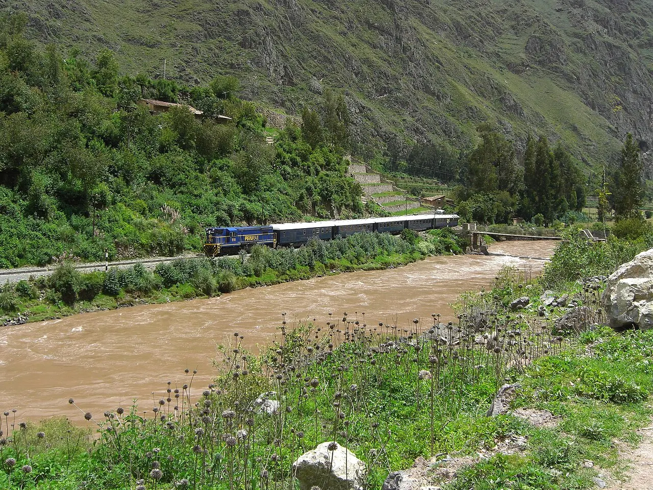 A PeruRail train running beside the Urubamba River toward Aguas Calientes
